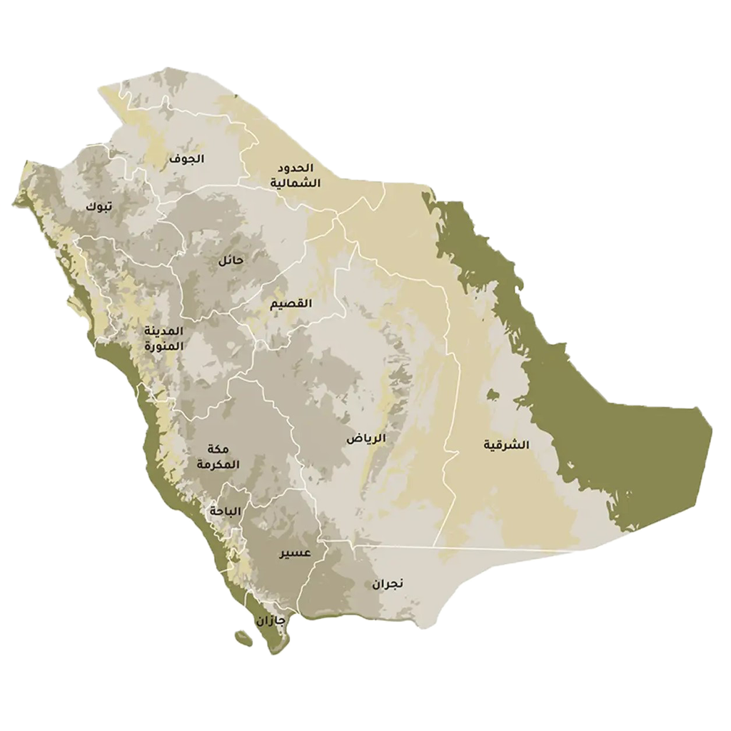 صورة توضيحية